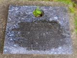 image of grave number 387072